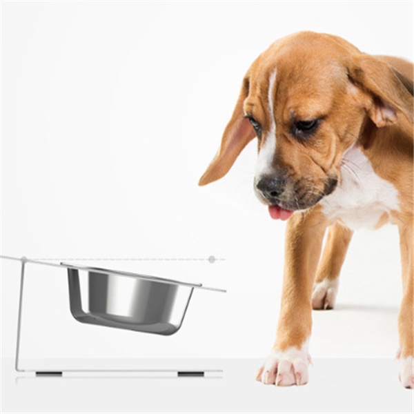 Anti-falling Cat Dog Feeding Water Bowl - Image 9