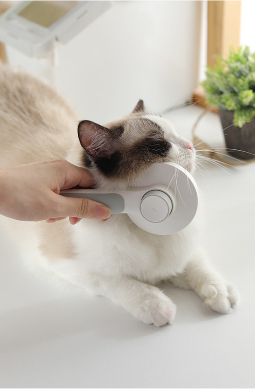Cat Steam Brush