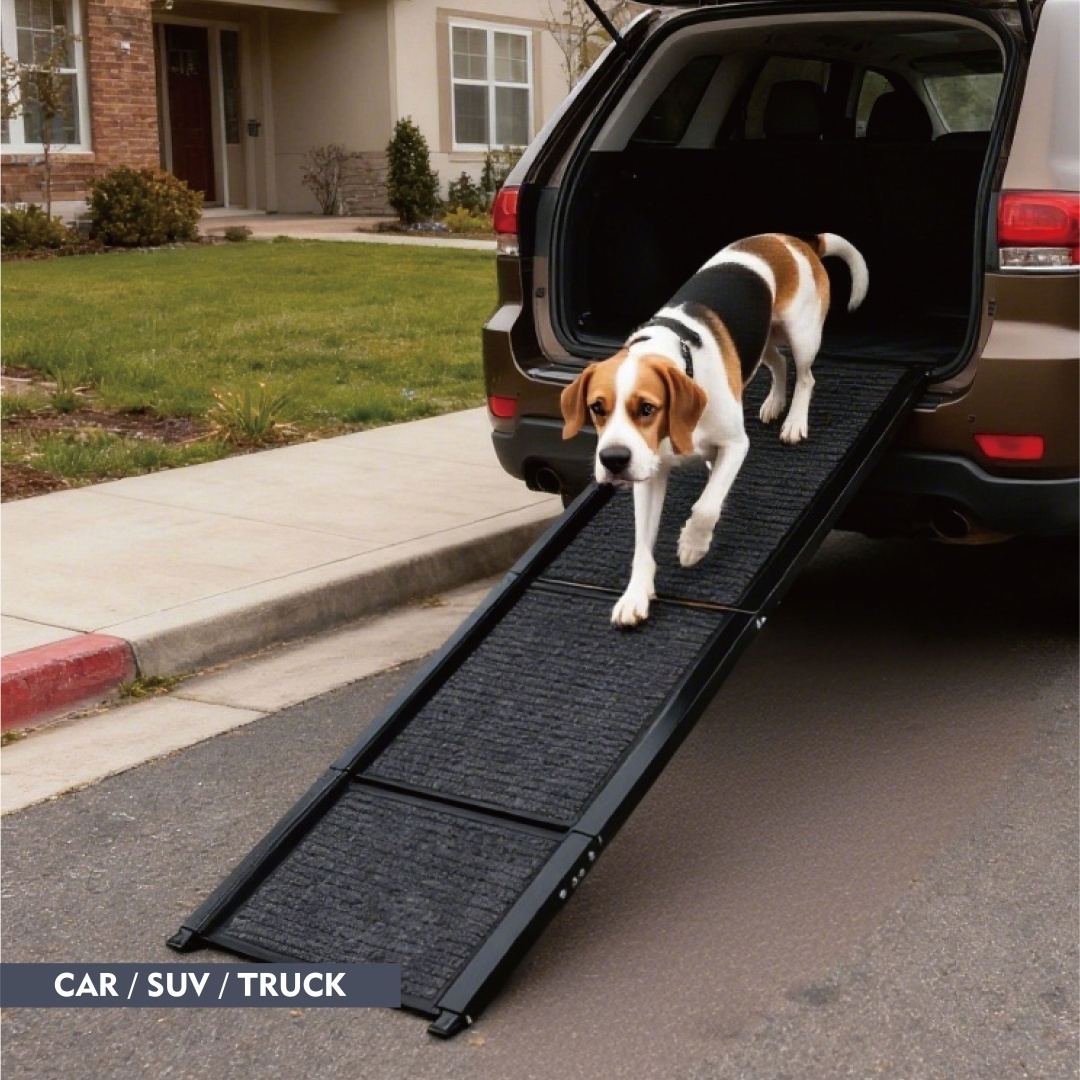 folding dog ramp for car, truck & van.