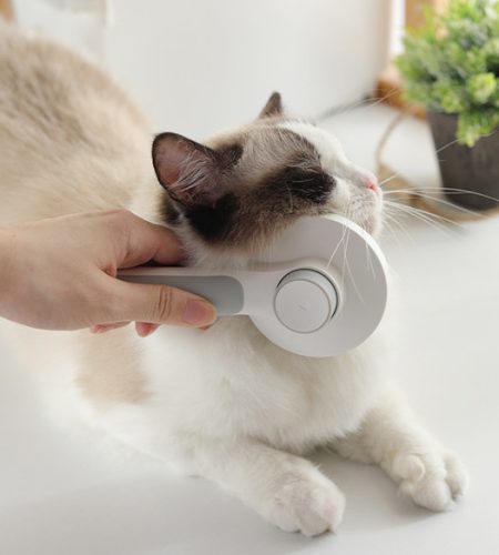 Cat Steam Brush